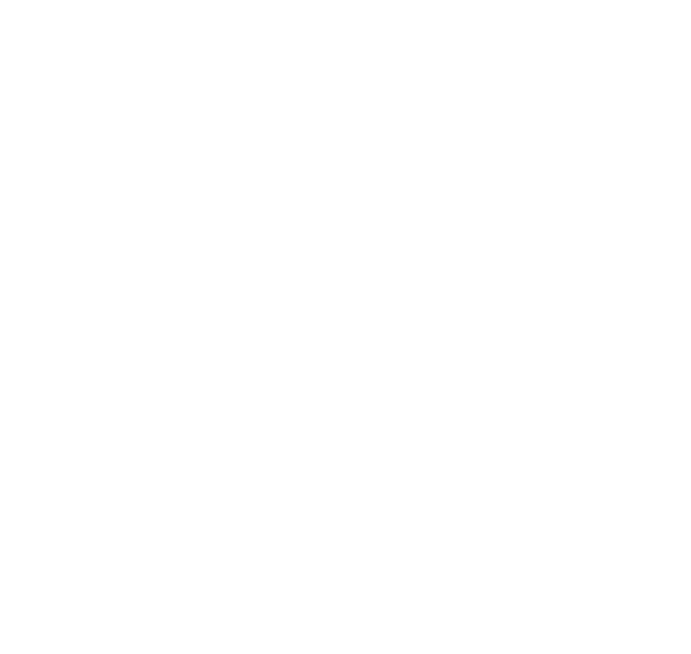 Logo_STE_white Logo_STE_white